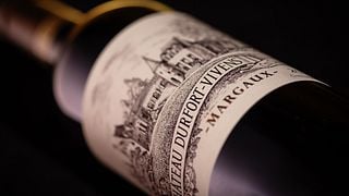 California Vineyard Journey: Organic Wines & Tasting