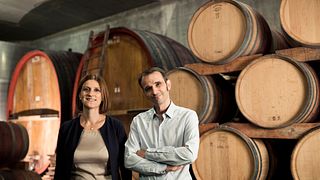 Visita a la bodega con cata de vinos en Rottensteiner Hans