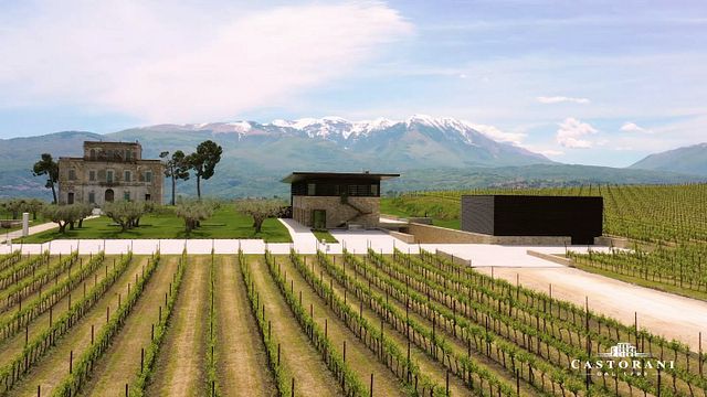 Degustação de vinhos premium e experiência de almoço no Castorani