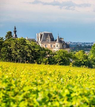 Domaine Cluny