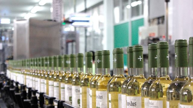 Reservieren Sie eine Weinprobe und Tour bei Adega Cooperativa da Vermelha