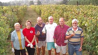Degustazione e tour di vini a Sant'Agnese