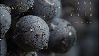 Cantina Destefanis Federico