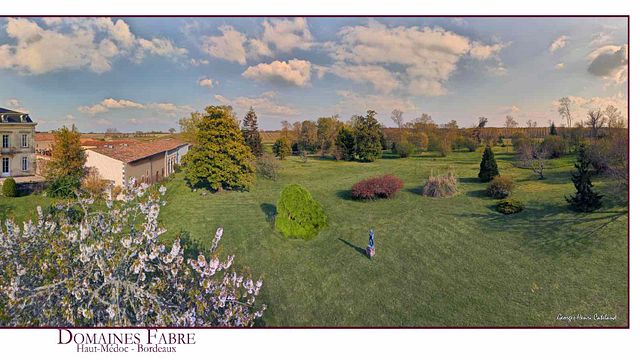 El vino, la clave en el Château Lamothe-Cissac