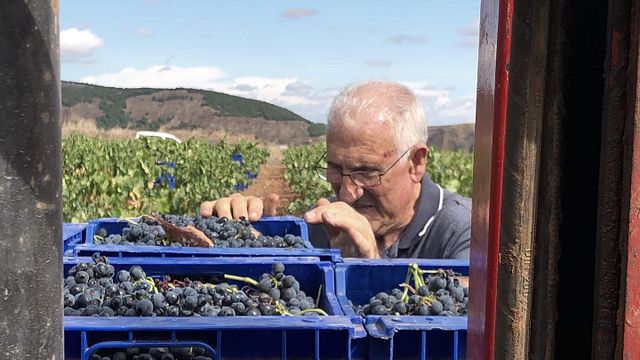 Weinprobe und Tour bei Arizcuren