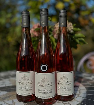 Vinprovning på Weingut Villa Kerz