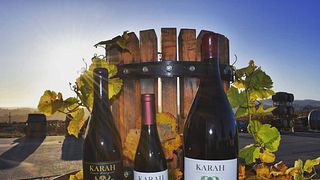 Degustazione di vini e tour al vigneto Karah Estate
