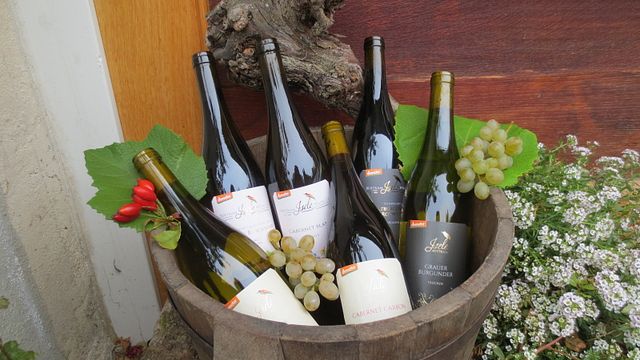 Degustação de vinhos no Weingut Bertram Isele