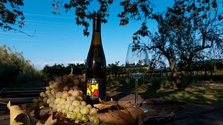 Acheon Winery