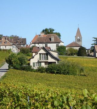 Domaine 4810