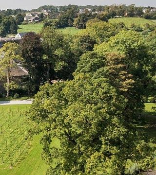 Cata de vinos y visita al Château De Bioul