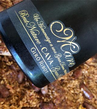 Dégustation de vins et visite chez Giró Ribot