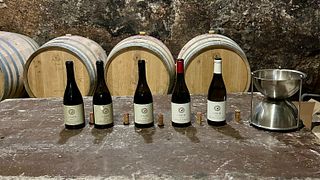 Privat rundtur i Beaujolais-regionen, vinprovningar och lokal restaurang
