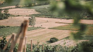 Tenuta il Nespolo