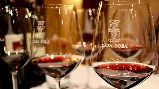 Tour y degustación con pranzo leggero