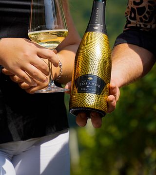 Degustazione premium - tour dei vigneti e degustazione vini e prodotti tipici