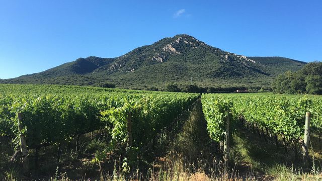 Degustazione di vini e visita al Pago De Larrainzar