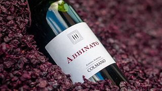Cata y visita de vinos populares en Colmano