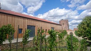 Weingut Lange - Schloss Saaleck Winecellar near the Castle