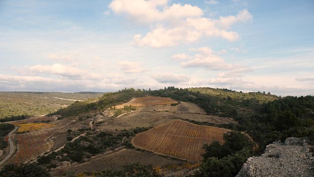 Cata de vinos y visita guiada en Domaine Combe Blanche