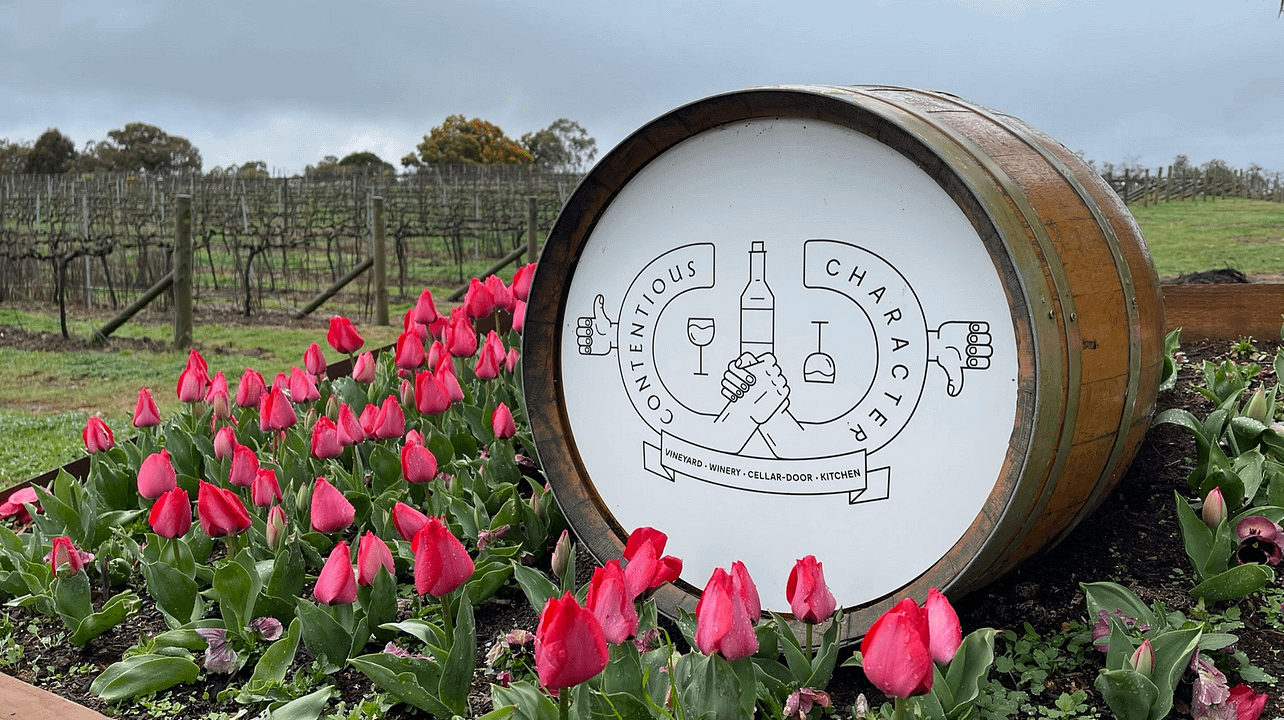Visita e degustazione di vini presso una cantina di carattere controverso