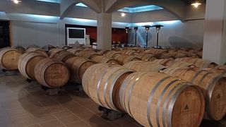 Day Tour Heraklion Knossos Palace– Wine and Olive Oil Tasting - Cooking Class with Wine Experience