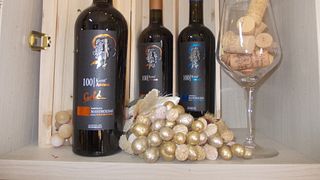 Alla scoperta dei vini del centenario | Cantina del Mandrolisai