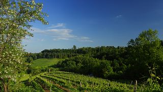 Discover Veneto Wines on an Underground Cellar Tour