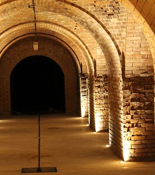 Degustazione di vini con stuzzichini fatti a mano presso l'azienda vinicola biologica Widerna