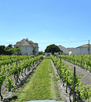 Château Montifaud Cognac