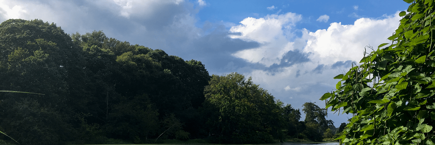 Eltville