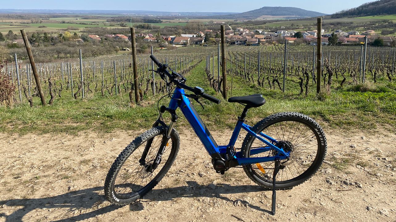 Lorraine Vineyard E-Bike & Wine Adventure