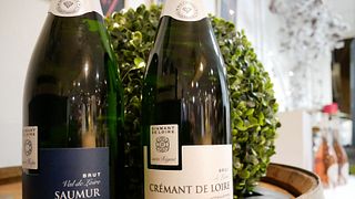 Cata de vinos y visita guiada a Les Caves De La Loire