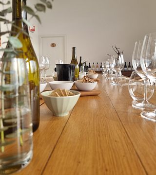 Visite guidée du domaine viticole et des caves, suivie d'une dégustation de vins intitulée « Les premiers pas ».