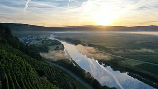 Scenic Hike to Thörnicher Ritsch with Stunning Mosel Valley Views
