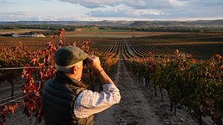 Visite en camion 4x4 du vignoble et point de vue avec apéritif et dégustation de vins