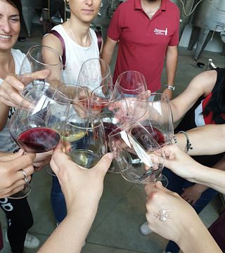 Guidade turer på Zinzani Winery