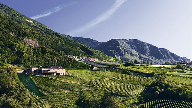 Pfitscher Winery