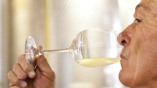 Weinprobe und Tour im Weingut Cimarelli