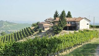 Degustazione di vini e tour presso Tenuta San Mauro