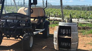 Cata y tour de vinos Premium en Viña Edén
