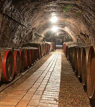 Simkó Pince Winery
