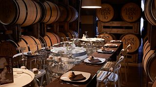 Una experiencia fresca en la Bodega Apollonio 1870