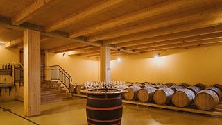 Weinprobe und Tour in Sveti Martin