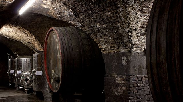 Georg Breuer Winery