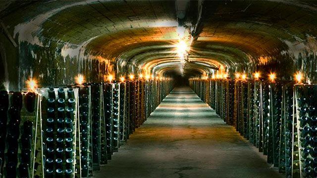 Solo cata de vinos