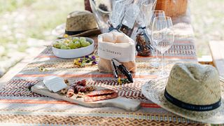 Vineyard Picnic & Tejo Wine Tasting at Sampayo