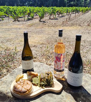 Rhône Vine & Terroir Safari | Domaine Fontaine Du Clos