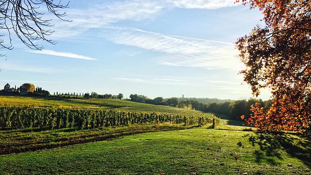 Cata de vinos y visita al Château Lamothe De Haux