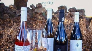 Degustazione di vini e tour popolari a Bodegas Alcardet
